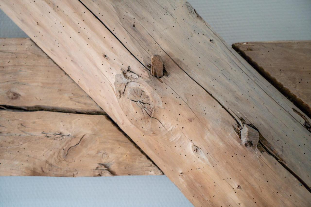 Hoeve De Bongerd Beesel Dış mekan fotoğraf